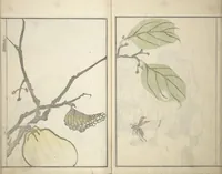 An illustration from Kihō Picture Album (Kihō gafu 埼鳳画譜) (1827)