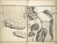 An illustration from Kyōsai’s Treatise on Painting (Kyōsai gadan) : [volume 2] (1887)