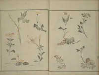 An illustration from How to Draw Figures Simply (Jinbutsu ryakugashiki) (1795)