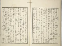 An illustration from Volume 3 of Unknown Erotic (Shunga) Set (Tōsei komonchō)