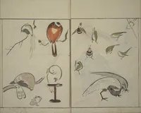 An illustration from How to Draw Birds, Insects and Fish Simply (Chōjū ryakugashiki) (1797)