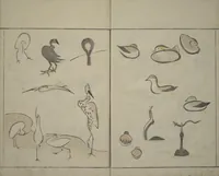 An illustration from How to Draw Birds, Insects and Fish Simply (Chōjū ryakugashiki) (1797)