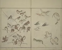 An illustration from How to Draw Birds, Insects and Fish Simply (Chōjū ryakugashiki) (1797)