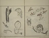 An illustration from How to Draw Birds, Insects and Fish Simply (Chōjū ryakugashiki) (1797)