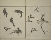 An illustration from How to Draw Birds, Insects and Fish Simply (Chōjū ryakugashiki) (1797)