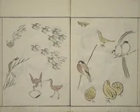 An illustration from How to Draw Birds, Insects and Fish Simply (Chōjū ryakugashiki) (1797)