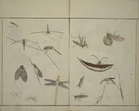 An illustration from How to Draw Birds, Insects and Fish Simply (Chōjū ryakugashiki) (1797)