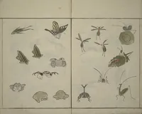An illustration from How to Draw Birds, Insects and Fish Simply (Chōjū ryakugashiki) (1797)