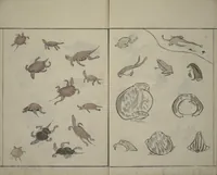 An illustration from How to Draw Birds, Insects and Fish Simply (Chōjū ryakugashiki) (1797)