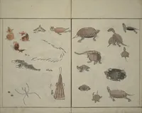 An illustration from How to Draw Birds, Insects and Fish Simply (Chōjū ryakugashiki) (1797)