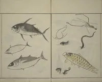 An illustration from How to Draw Birds, Insects and Fish Simply (Chōjū ryakugashiki) (1797)