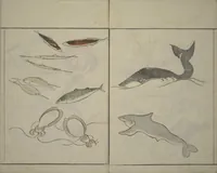 An illustration from How to Draw Birds, Insects and Fish Simply (Chōjū ryakugashiki) (1797)