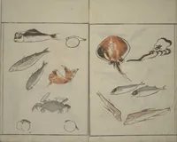 An illustration from How to Draw Birds, Insects and Fish Simply (Chōjū ryakugashiki) (1797)