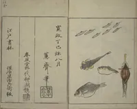 An illustration from How to Draw Birds, Insects and Fish Simply (Chōjū ryakugashiki) (1797)
