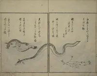 An illustration from The Servants of the Dragon King of the Sea: Fish and Shells (Tatsu no miyatsuko gyokai fu) (1802)