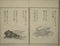 An illustration from The Servants of the Dragon King of the Sea: Fish and Shells (Tatsu no miyatsuko gyokai fu) (1802)