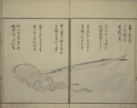An illustration from The Servants of the Dragon King of the Sea: Fish and Shells (Tatsu no miyatsuko gyokai fu) (1802)