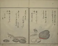 An illustration from The Servants of the Dragon King of the Sea: Fish and Shells (Tatsu no miyatsuko gyokai fu) (1802)