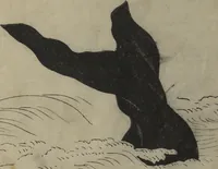 An illustration from The Servants of the Dragon King of the Sea: Fish and Shells (Tatsu no miyatsuko gyokai fu) (1802)