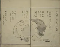 An illustration from The Servants of the Dragon King of the Sea: Fish and Shells (Tatsu no miyatsuko gyokai fu) (1802)