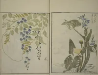 An illustration from How to Draw Plants and Flowers Simply (Sōka ryakugashiki) (1813)
