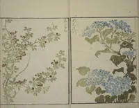 An illustration from How to Draw Plants and Flowers Simply (Sōka ryakugashiki) (1813)