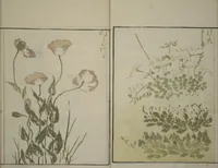 An illustration from How to Draw Plants and Flowers Simply (Sōka ryakugashiki) (1813)
