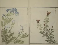 An illustration from How to Draw Plants and Flowers Simply (Sōka ryakugashiki) (1813)