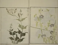An illustration from How to Draw Plants and Flowers Simply (Sōka ryakugashiki) (1813)