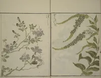 An illustration from How to Draw Plants and Flowers Simply (Sōka ryakugashiki) (1813)
