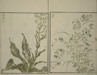 An illustration from How to Draw Plants and Flowers Simply (Sōka ryakugashiki) (1813)