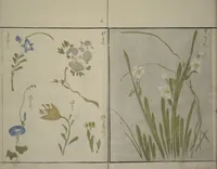 Picture 24 of 28 from How to Draw Plants and Flowers Simply (Sōka ryakugashiki) (1813), leaf 28