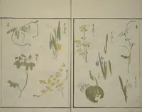 Picture 25 of 28 from How to Draw Plants and Flowers Simply (Sōka ryakugashiki) (1813), leaf 29