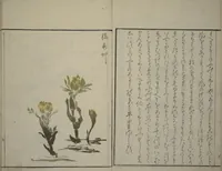 An illustration from How to Draw Plants and Flowers Simply (Sōka ryakugashiki) (1813)