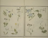 Picture 26 of 28 from How to Draw Plants and Flowers Simply (Sōka ryakugashiki) (1813), leaf 30
