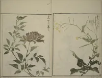 An illustration from How to Draw Plants and Flowers Simply (Sōka ryakugashiki) (1813)