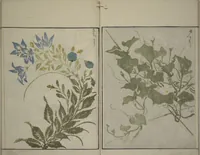 An illustration from How to Draw Plants and Flowers Simply (Sōka ryakugashiki) (1813)