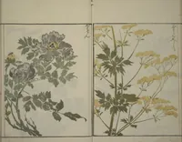 An illustration from How to Draw Plants and Flowers Simply (Sōka ryakugashiki) (1813)