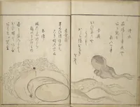 An illustration from The Servants of the Dragon King of the Sea: Fish and Shells (Tatsu no miyatsuko gyokai fu) (1802)