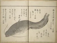 An illustration from The Servants of the Dragon King of the Sea: Fish and Shells (Tatsu no miyatsuko gyokai fu) (1802)