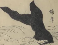 An illustration from The Servants of the Dragon King of the Sea: Fish and Shells (Tatsu no miyatsuko gyokai fu) (1802)