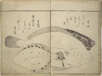 An illustration from The Servants of the Dragon King of the Sea: Fish and Shells (Tatsu no miyatsuko gyokai fu) (1802)