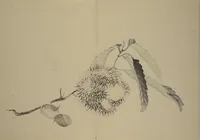 Picture 4 of 7 from Kinkadō's Album of Drawings by Keibun (Keibun Kinka chō) (1898), leaf 18