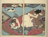 Picture 8 of 13 from A Bedside Guide to the Colors of Love in Spring (Shunshoku neya no shiori) : [volume 3] (1850), leaf 12
