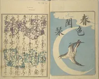 An illustration from A Bedside Guide to the Colors of Love in Spring (Shunshoku neya no shiori) : [volume 1] (1850)