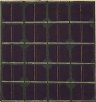 Picture 15 of 43 from Shima shima : Volume 1 / [chosakusha Furuya Kōrin] (1906), leaf 9