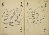 Picture 8 of 48 from Myōchin Shikibu kadensho (1753), leaf 14