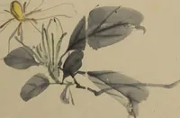 An illustration from Untitled Picture Album of Twenty-five Watercolor Paintings by Nishiyama Hōen