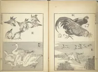 An illustration from Transmitting the Spirit, Revealing the Form of Things, Volume 1 to 15 of Hokusai Sketchbooks (Denshin kaishu: Hokusai manga, shohen - jugohen) (1848)