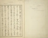 An illustration from Transmitting the Spirit, Revealing the Form of Things, Volume 1 to 15 of Hokusai Sketchbooks (Denshin kaishu: Hokusai manga, shohen - jugohen) (1848)